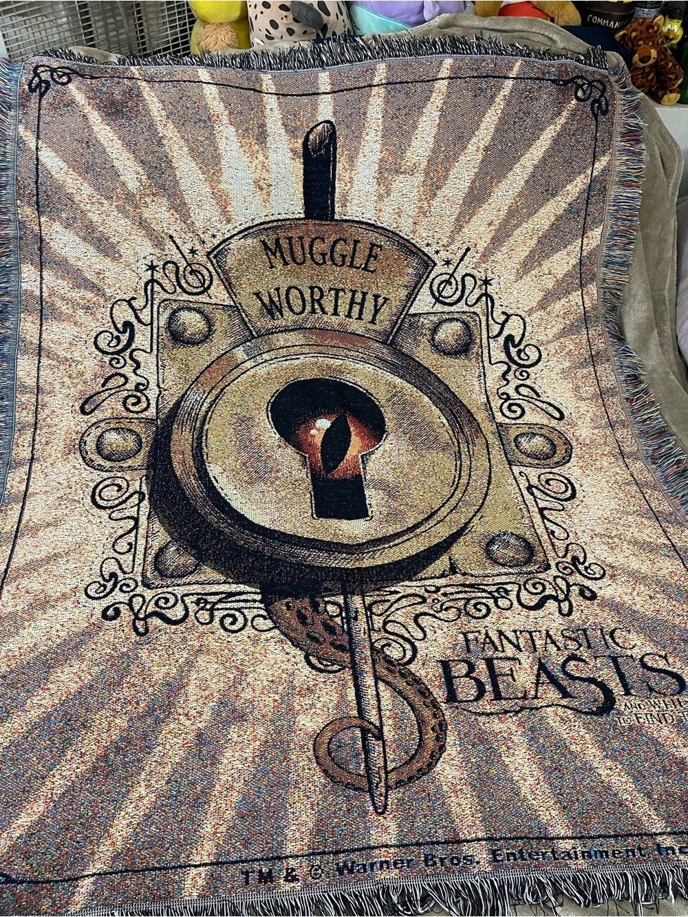 Warner Bros. Fantastic Beasts And Where To Find Them 50” X 60” Tapestry Throw -